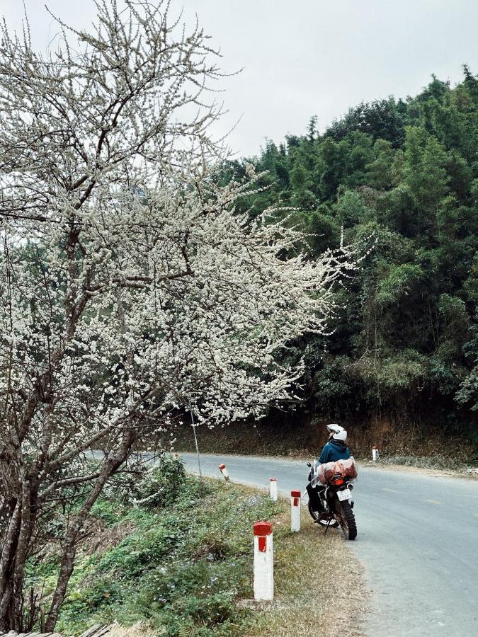 Green Riders House - Motorbike Rental & Tours カオバン エクステリア 写真